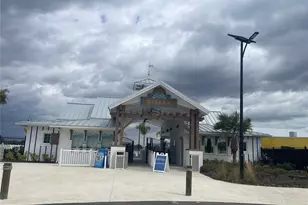 10211 Trumpet Honeysuckle Wy, San Antonio, FL 33576 - Photo 23