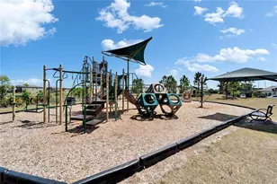 14239 Swiss Bridge Dr, Riverview, FL 33579 - Photo 79