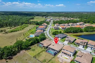 14239 Swiss Bridge Dr, Riverview, FL 33579 - Photo 67