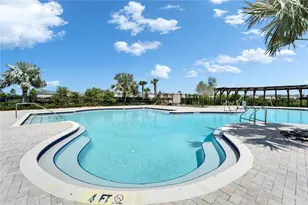 14239 Swiss Bridge Dr, Riverview, FL 33579 - Photo 77