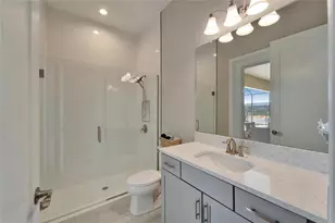 14239 Swiss Bridge Dr, Riverview, FL 33579 - Photo 39