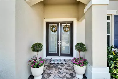 14239 Swiss Bridge Drive, Riverview, FL 33579 - Photo 9