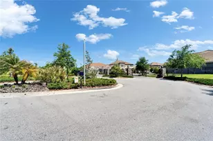 14239 Swiss Bridge Dr, Riverview, FL 33579 - Photo 71