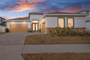8749 Drummer Plank Dr, Wesley Chapel, FL 33545 - Photo 1