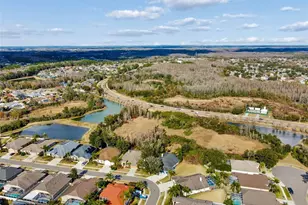 10022 Oxford Chapel Dr, Tampa, FL 33647 - Photo 83