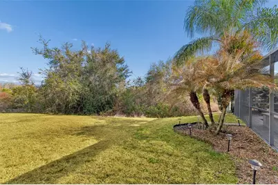 10022 Oxford Chapel Drive, Tampa, FL 33647 - Photo 79