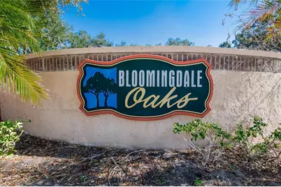 1741 Shady Leaf Drive, Valrico, FL 33596 - Photo 57