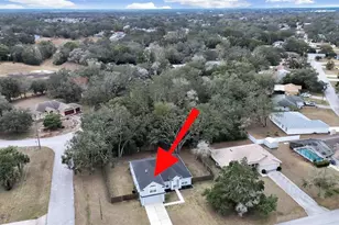 8018 Shepherd Ave, Spring Hill, FL 34606 - Photo 3