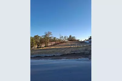 Lot 1 Barnevelde Road, Weeki Wachee, FL 34614 - Photo 5