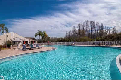 21433 Diamonte Drive, Land O Lakes, FL 34637 - Photo 59