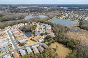 21433 Diamonte Dr, Land O Lakes, FL 34637 - Photo 51