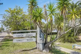 346 Moorings Cove Dr, Tarpon Springs, FL 34689 - Photo 55