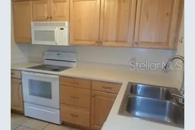 3359 W Wyoming Circle, Tampa, FL 33611 - Photo 3