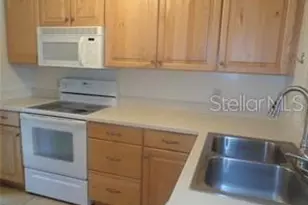 3359 W Wyoming Cir, Tampa, FL 33611 - Photo 3