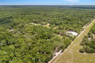 10297 SW 160th St, Dunnellon, FL 34432 - Photo 17