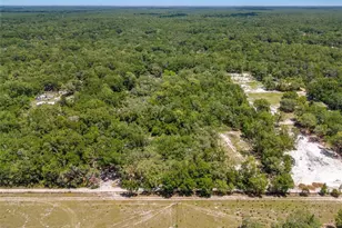 10297 SW 160th St, Dunnellon, FL 34432 - Photo 19