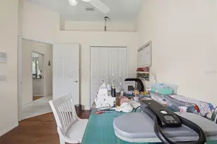 328 Liam Ave, Tarpon Springs, FL 34689 - Photo 41