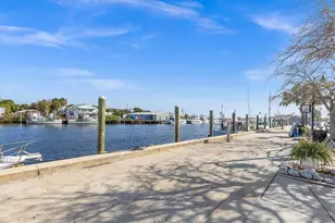 328 Liam Ave, Tarpon Springs, FL 34689 - Photo 59