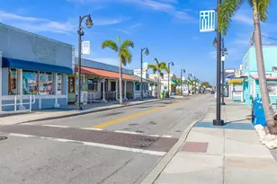 328 Liam Ave, Tarpon Springs, FL 34689 - Photo 57