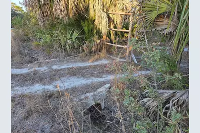 14420 Highland Road, Wimauma, FL 33598 - Photo 11