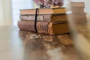 18675 US Hwy 19 N, Clearwater, FL 33764 - Photo 43