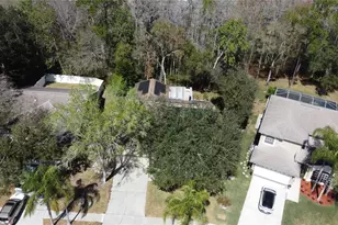 1795 Bayhill Dr, Oldsmar, FL 34677 - Photo 3