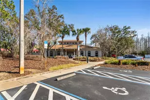 31814 Blythewood Way, Wesley Chapel, FL 33543 - Photo 47