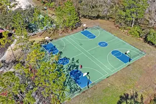 31814 Blythewood Way, Wesley Chapel, FL 33543 - Photo 53