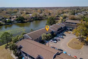 4036 Cortez Dr, Tampa, FL 33614 - Photo 33