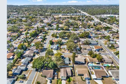 2594 Knoll Street E, Palm Harbor, FL 34683 - Photo 51