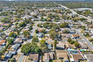 2594 Knoll St E, Palm Harbor, FL 34683 - Photo 51