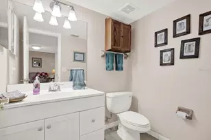 2594 Knoll St E, Palm Harbor, FL 34683 - Photo 21