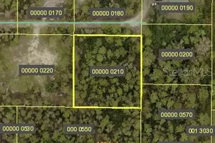 9930 Councilor Ln, North Fort Myers, FL 33917 - Photo 1