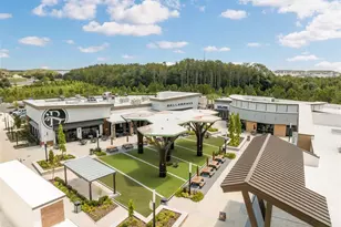 4626 Tour Trce, Land O Lakes, FL 34638 - Photo 69