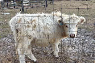 3009 Jim Johnson Rd, Plant City, FL 33566 - Photo 73