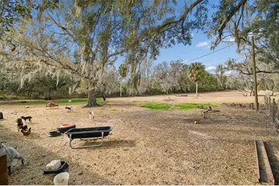 3009 Jim Johnson Road, Plant City, FL 33566 - Photo 59