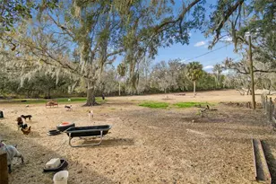 3009 Jim Johnson Rd, Plant City, FL 33566 - Photo 59