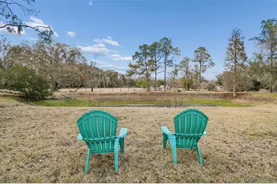 3009 Jim Johnson Road, Plant City, FL 33566 - Photo 65