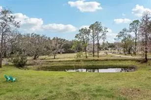 3009 Jim Johnson Rd, Plant City, FL 33566 - Photo 67