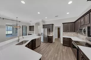 6020 Audubon Manor Blvd, Lithia, FL 33547 - Photo 11