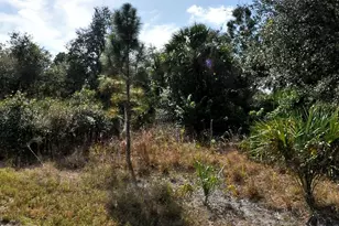 Games Ct, North Port, FL 34288 - Photo 1