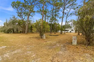 3906 Fox Ridge Blvd, Wesley Chapel, FL 33543 - Photo 45