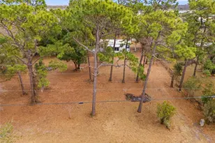 3906 Fox Ridge Blvd, Wesley Chapel, FL 33543 - Photo 53