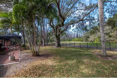 2240 Toniwood Lane, Palm Harbor, FL 34685 - Photo 41