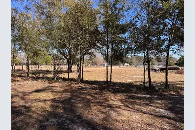 7647 Shannon Lane, Zephyrhills, FL 33540 - Photo 31