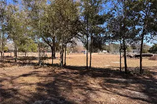 7647 Shannon Ln, Zephyrhills, FL 33540 - Photo 31