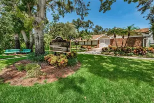 3567 Deer Run S, Palm Harbor, FL 34684 - Photo 39