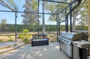 2838 Sunny Ledge Ct, Land O Lakes, FL 34638 - Photo 41