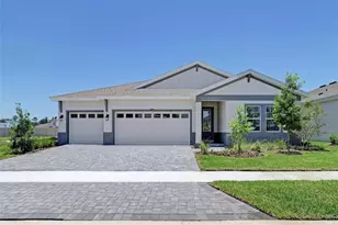 33496 Twilight Sea Place, Dade City, FL 33525 - Photo 1