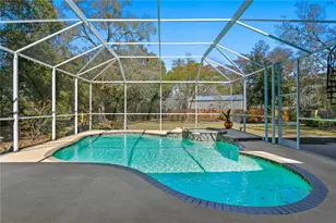 10501 Cyndee Ln, Odessa, FL 33556 - Photo 41